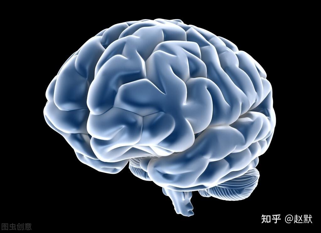 星空体育-荷甲赛程吃紧，罗马加时末段临场应变，压力陡增，心理建设被强调(10月去塞罕坝旅游攻略)