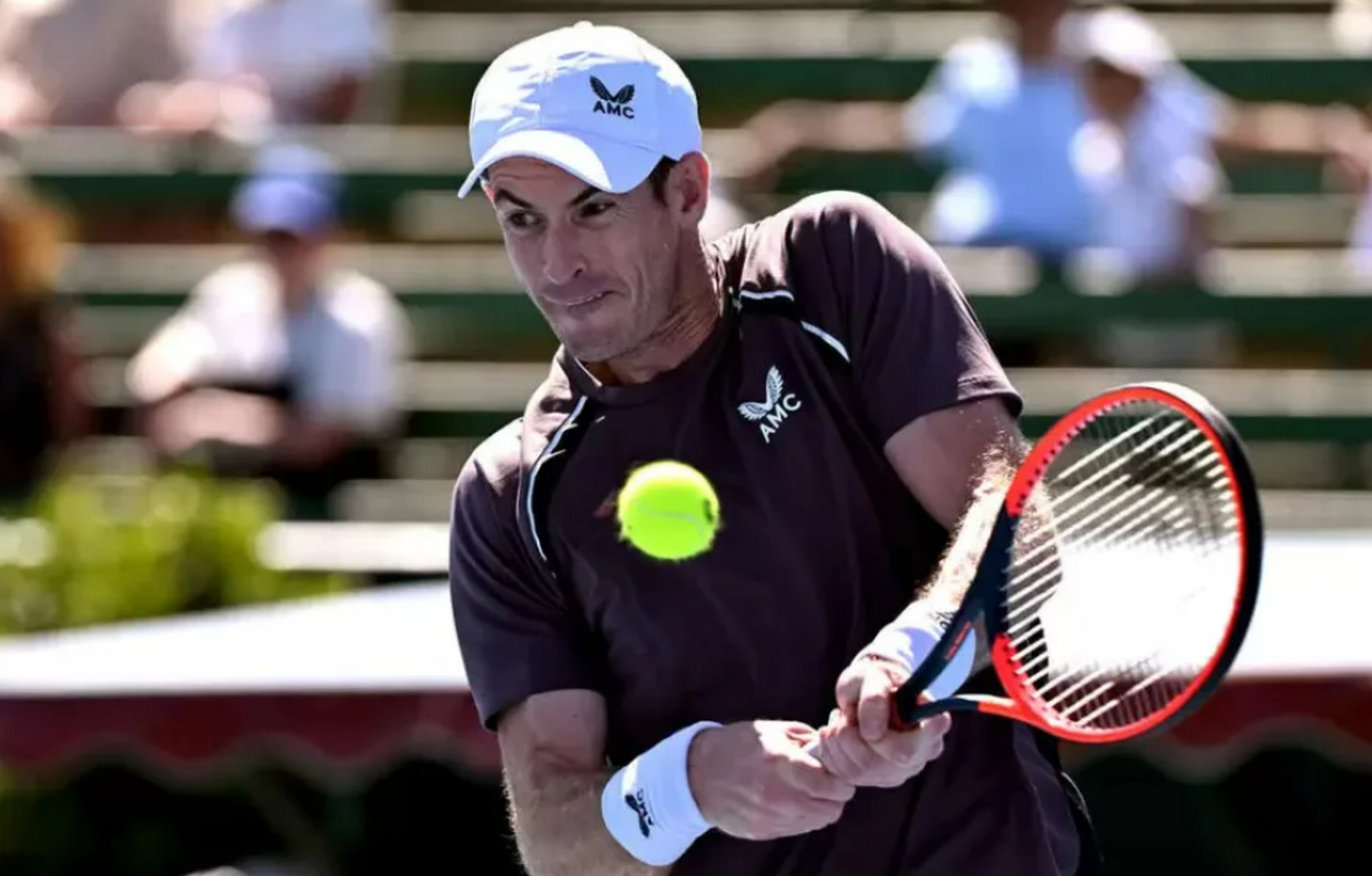 星空体育-关于穆雷回归赛场，大胜首场状态亮眼，雄鹿观众沸腾！的信息